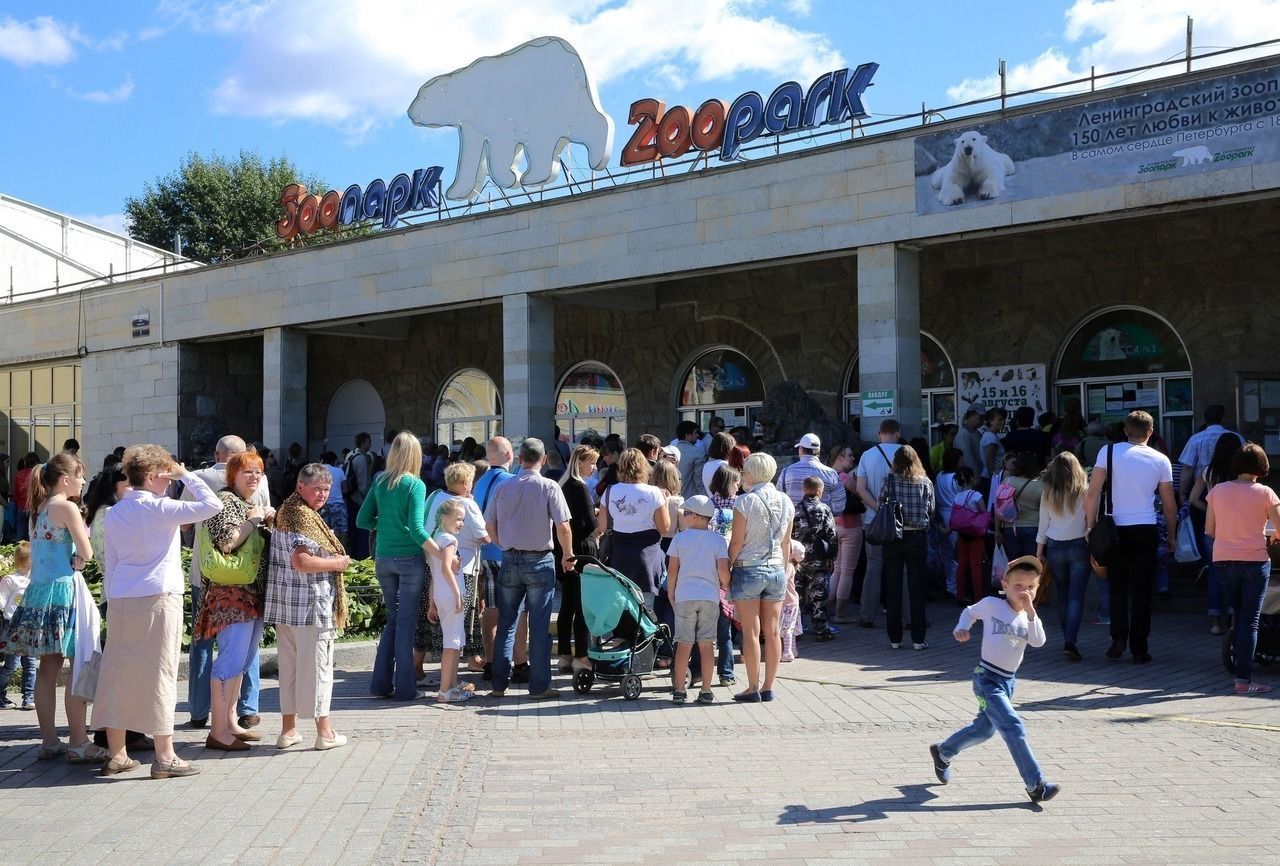 зоопарк в цпкио санкт петербург